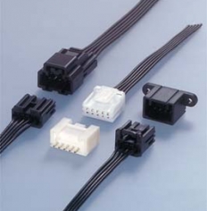 HCM