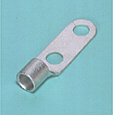 Double-Hole Terminal